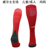 2024-25 European Cup National Team Socks (Thailand Version)