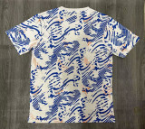 2024-25 Lyon blue and white training jersey