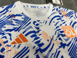 2024-25 Lyon blue and white training jersey