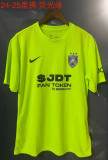 Johor 2024-25 third green