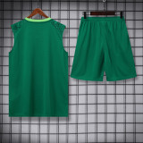 palmeiras 2024 training vest sets 