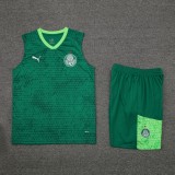 palmeiras 2024 training vest sets 