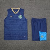 palmeiras 2024 training vest sets