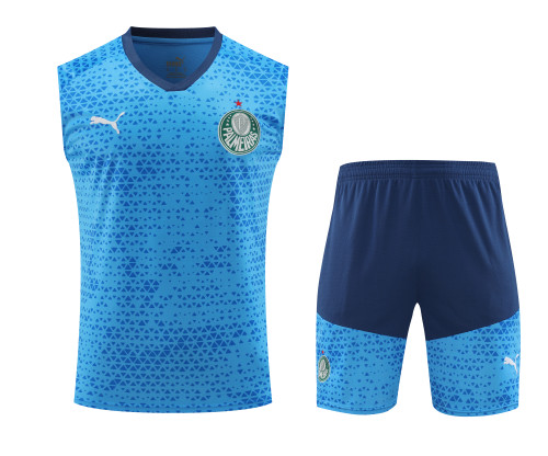 palmeiras 2024 training vest sets