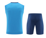 palmeiras 2024 training vest sets