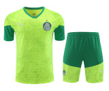 palmeiras 2024 SS training sets