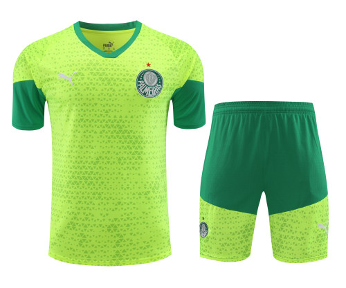palmeiras 2024 SS training sets