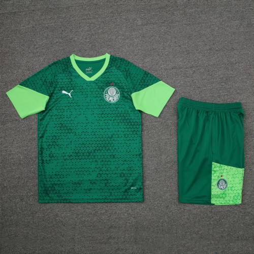palmeiras 2024 SS training sets