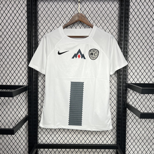 2024 Slovenia away soccer jersey