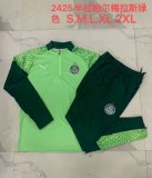 palmeiras 2024 ligth green training suit