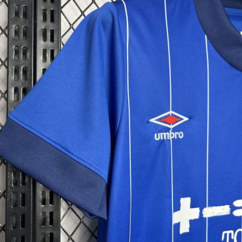 2024-25 Ipswich Town F.C. home soccer jersey