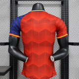 2024-25 Spain special player version(The player version is more slim fit, it is recommended to buy one size larger)