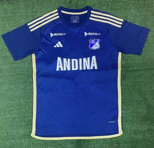 2024-25 Hoffenheim home soccer jersey