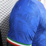 2024-25 Italy blue Special Player version jersey(The player version is more slim fit, it is recommended to buy one size larger)