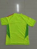 Bayern 2024-25 goalkeeper soccer jerseys