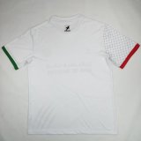 Palestine 2024-25 white S-4XL