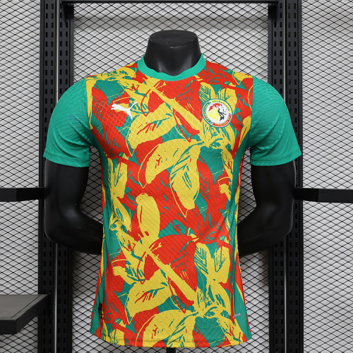 2024-25 Ivory Coast Pre-match Player version (The player version is more slim fit, it is recommended to buy one size larger)