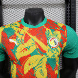 2024-25 Ivory Coast Pre-match Player version (The player version is more slim fit, it is recommended to buy one size larger)