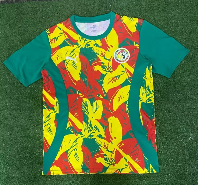 Senegal 2024-25 training shirt