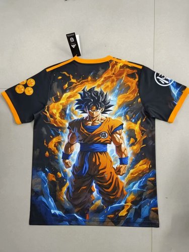 Japan 2024-25 dragon ball 