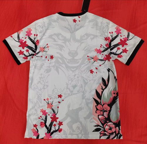 Japan 2025-26 special version