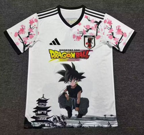 Japan 2025-26 special version
