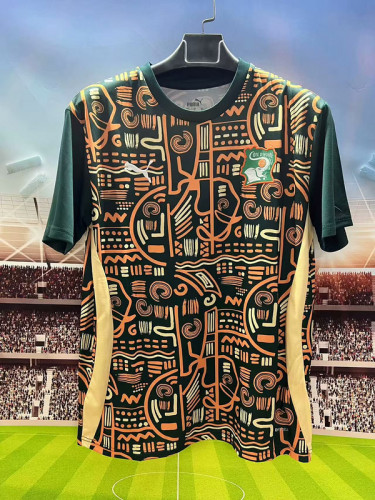 Ivory Coast 2025-26 training shirt