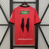 2025-26 Palestine red jersey