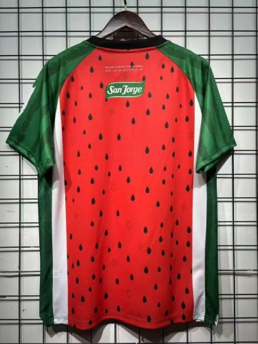 2025-26 Palestino third away jersey