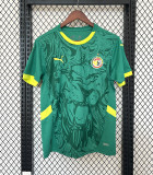Senegal 2024-25 away green