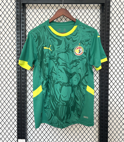 Senegal 2024-25 away green
