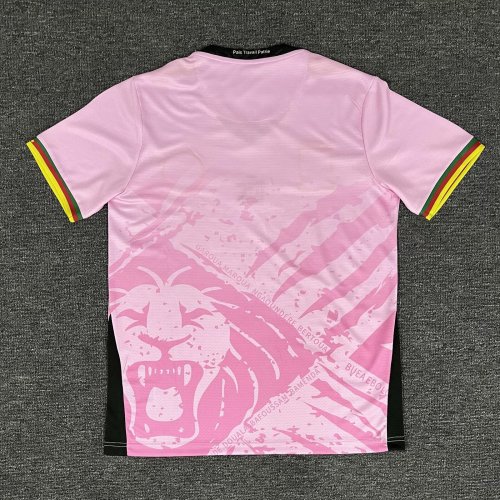 2025-26 Cameroon pink training jersey