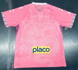 santos 2025-26 pink special version