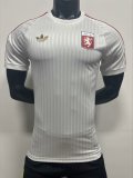 Lyon 75th Anniversary Edition Player version training S-3XL (The player version is more slim fit, it is recommended to buy one size larger)