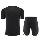 Liverpool 2025-26 SS Training Kit