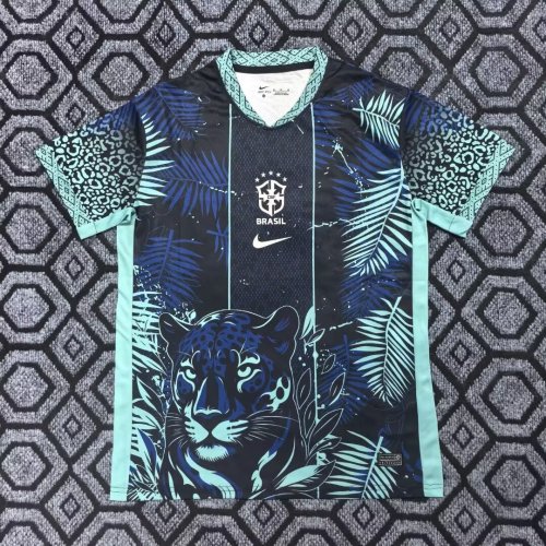 Brazil 2025-26 blue special version