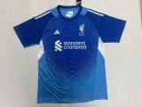 2025-26 Liverpool blue goalkeeper 