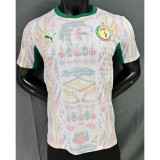 2025 Senegal home player version(The player version is more slim fit, it is recommended to buy one size larger)