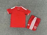  2026 Wales home kids kit 