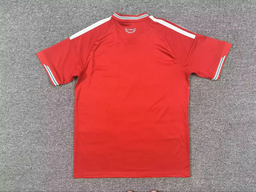 2026 Wales home soccer jersey size S-4XL