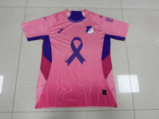 2025-26 Hoffenheim Special Soccer Jersey