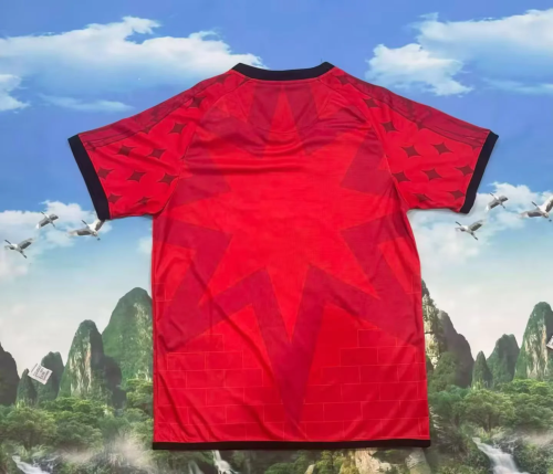 2025-26 Venezia fourth soccer jersey  S-4XL