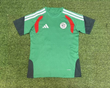 2026 Algeria green training jersey 