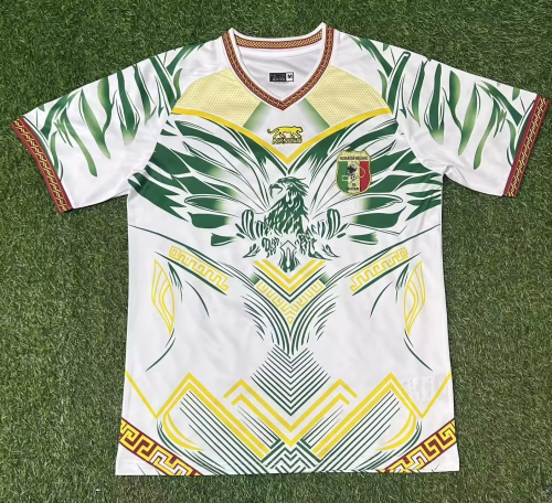 2025-26 Mali home soccer jersey 