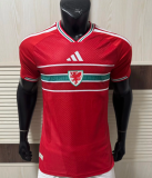 Wales 2026 home player version  (The player version is more slim fit, it is recommended to buy one size larger)