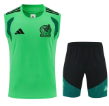 Mexico 2026 green vest set