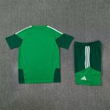 Algeria 26 green training kit