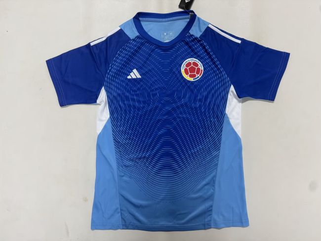 Colombia 2025-26 blue Goalkeeper
