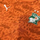 2026 Ivory Coast Cte d'Ivoire orange soccer jersey