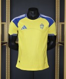 2026 Sweden home player version 